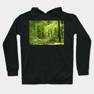 Forest magic Hoodie